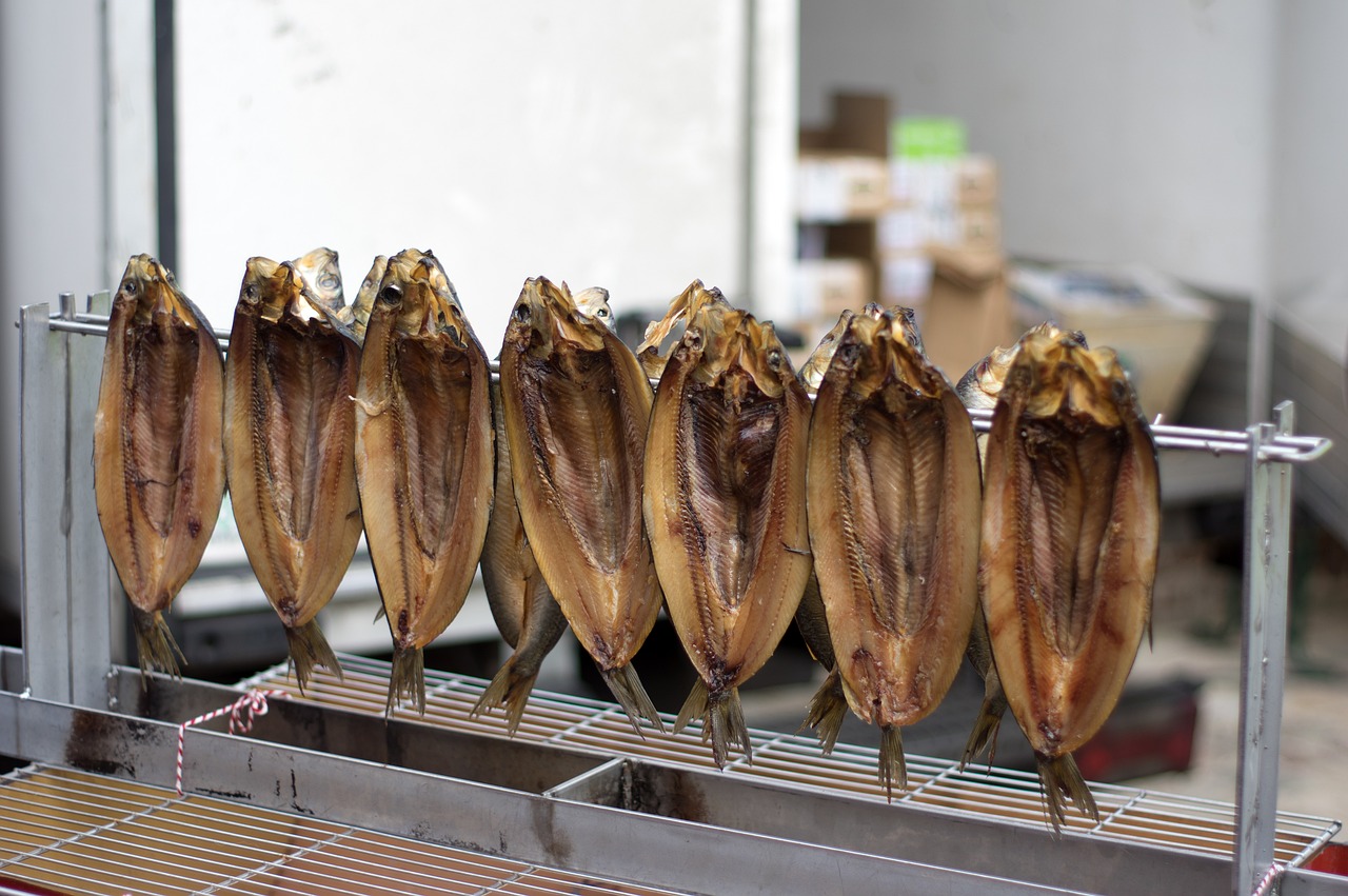 海馬屬于魚類嗎為什么（海馬屬于魚類嗎為什么不能吃） 申古三間魚 第2張