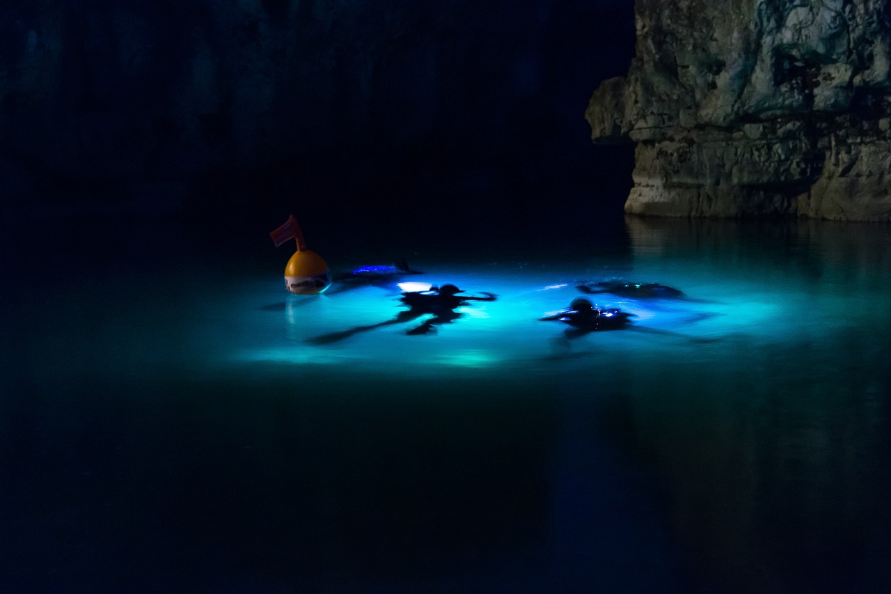 看頭 廣州水族批發(fā)市場(chǎng) 第3張