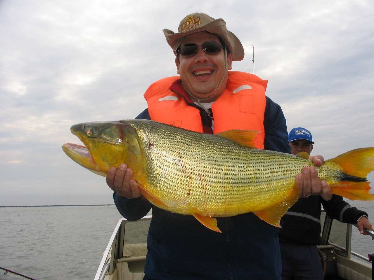 關(guān)于黃金貓魚(yú)和什么魚(yú)混養(yǎng)好看圖片欣賞視頻的信息 黃金貓魚(yú) 第2張