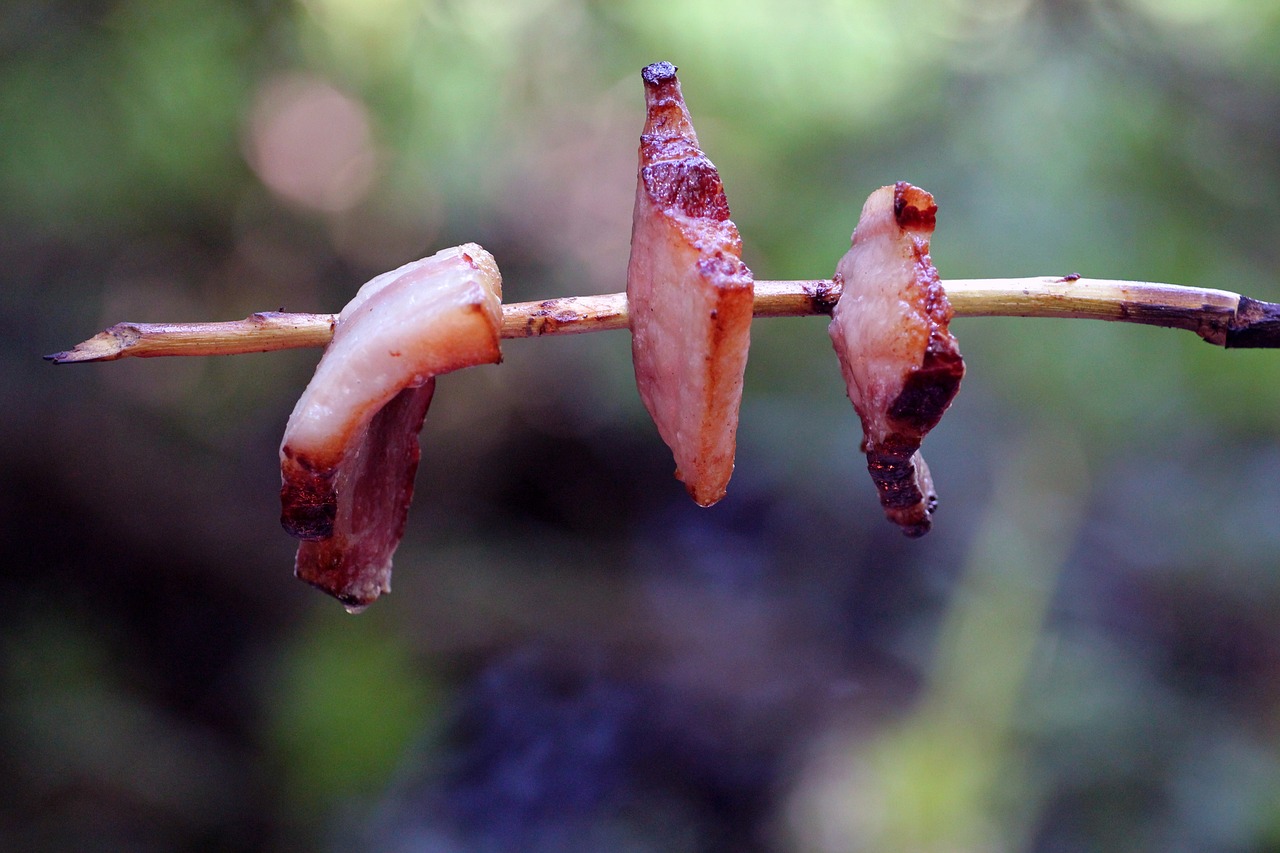 魚缸養(yǎng)什么水草好（魚缸養(yǎng)什么水草好打理） 其他品牌魚缸 第3張