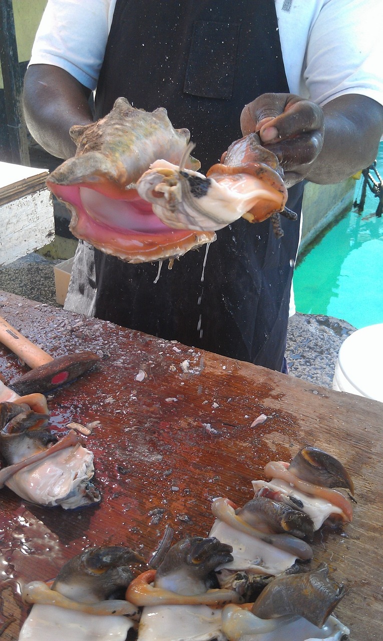 青島南山市場賣觀賞魚（青島賣觀賞魚的市場） 養(yǎng)魚知識 第1張