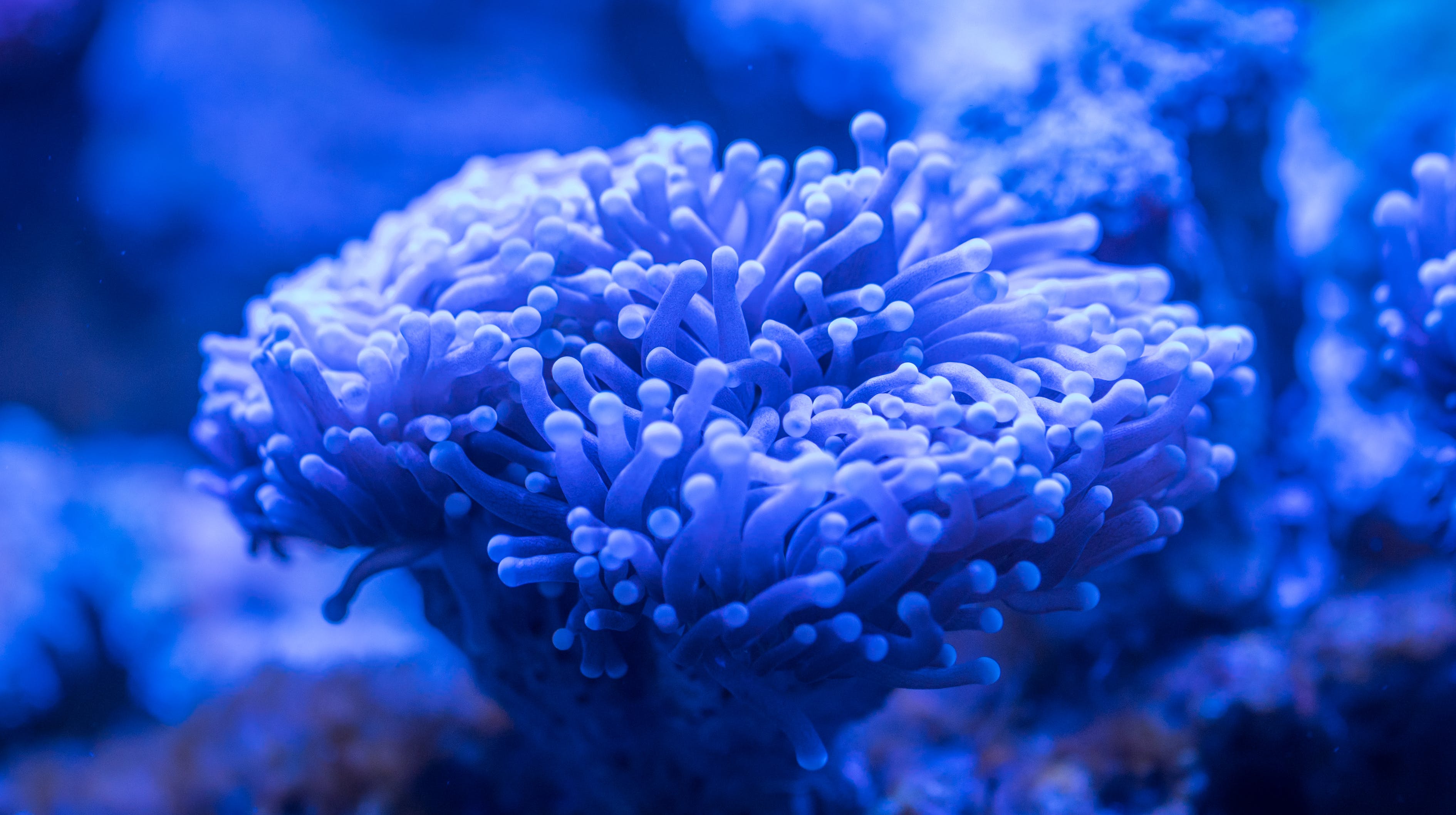 修水縣幸福水族館 （修水縣幸福水族館電話） 全國水族館企業(yè)名錄 第1張