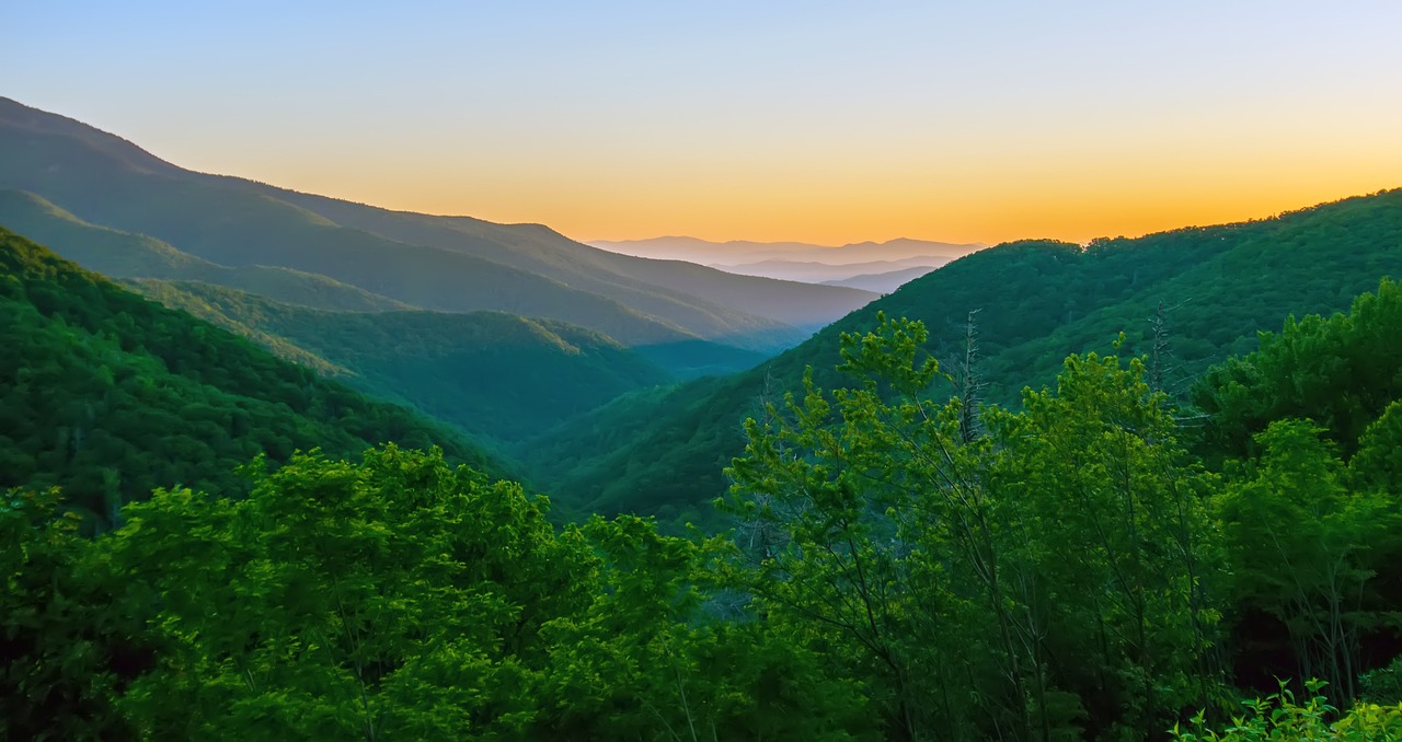 廣州枯山水景觀設(shè)計(jì)師是誰(shuí)呀圖片 （廣州枯山水景觀設(shè)計(jì)師是誰(shuí)呀圖片大全） 廣州景觀設(shè)計(jì) 第1張