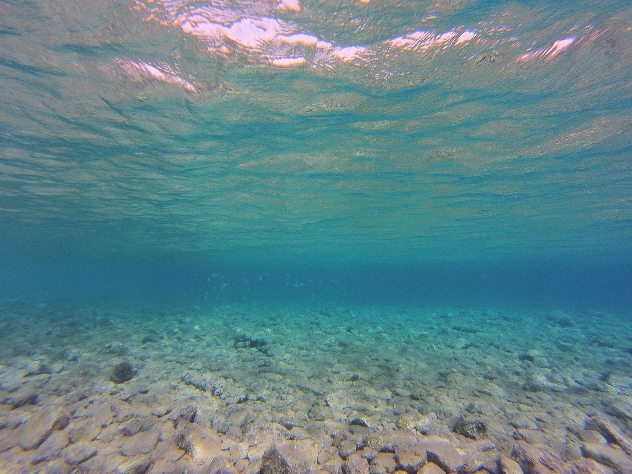 鎮(zhèn)雄金海水族館 （鎮(zhèn)雄金海水族館電話）