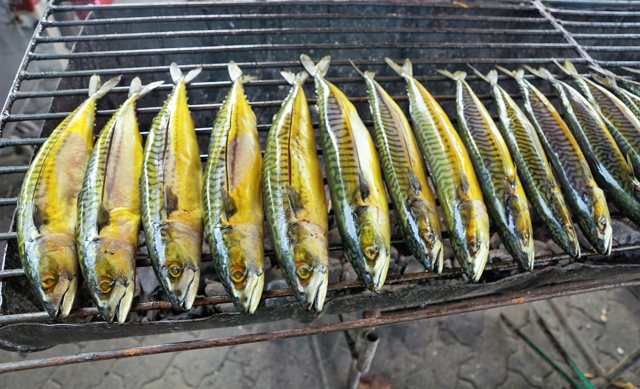 觀賞魚(yú)種類冷水魚(yú)圖片及價(jià)格（冷水魚(yú)有哪些） 可麗愛(ài)魚(yú)缸 第2張