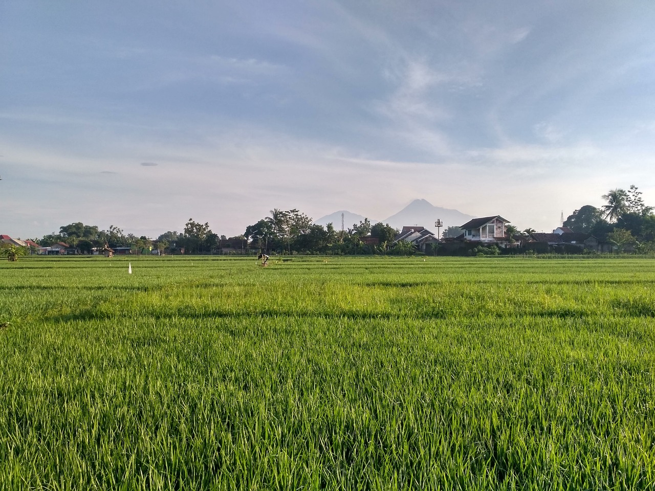 荊門水族批發(fā)市場(chǎng)在哪里啊多少錢一個(gè) 荊門水產(chǎn)批發(fā)市場(chǎng)在哪里呀