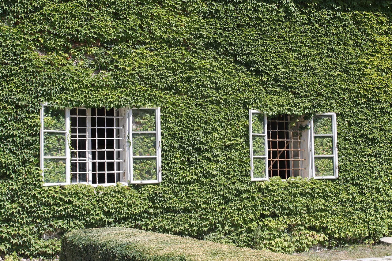 廣州植物展覽 （廣州植物展覽館在哪里） 廣州景觀設(shè)計 第2張