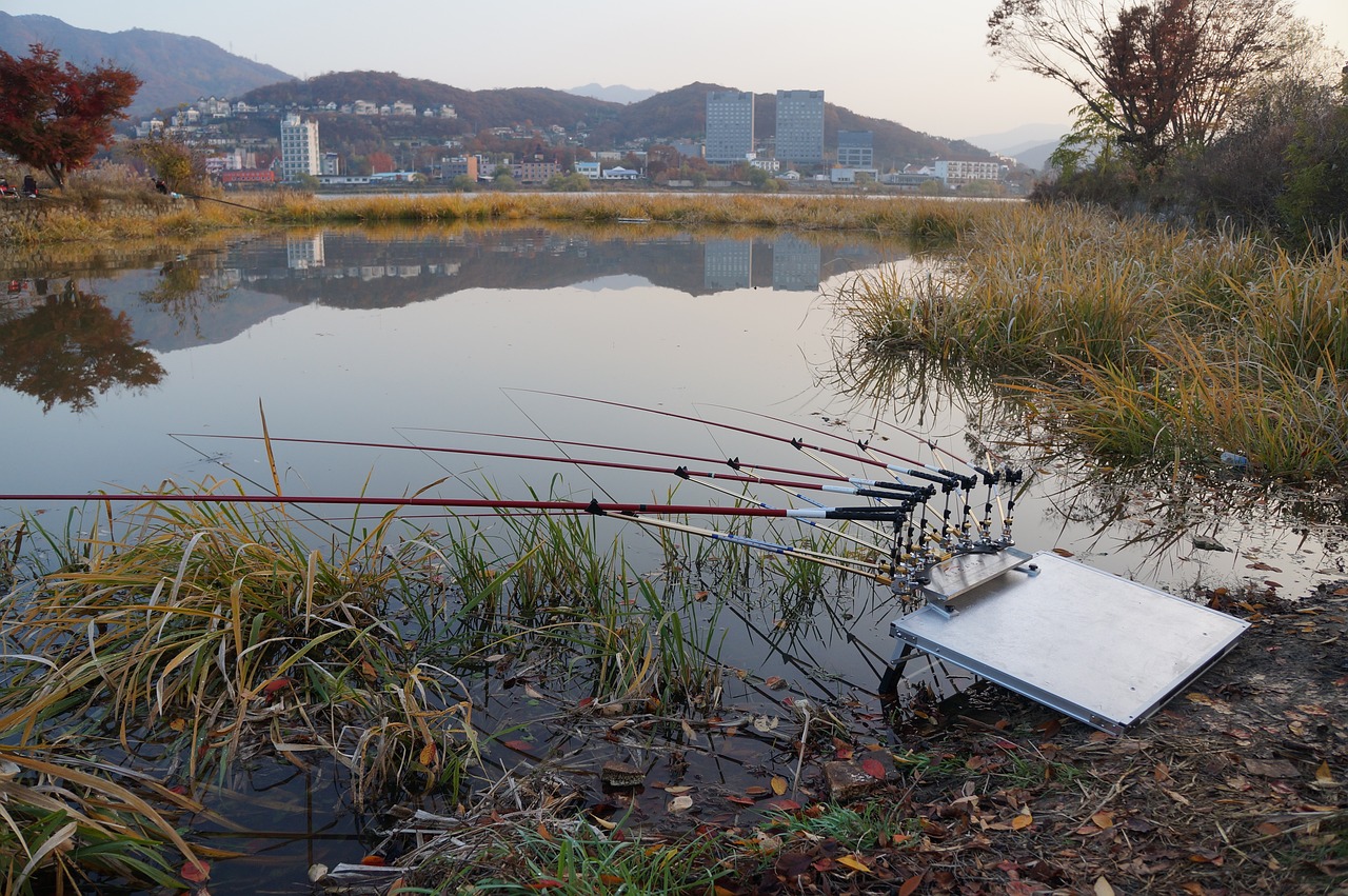 冬天龍魚溫度多少合適釣魚（冬天龍魚溫度多少合適釣魚呢） 垂釣樂園 第1張