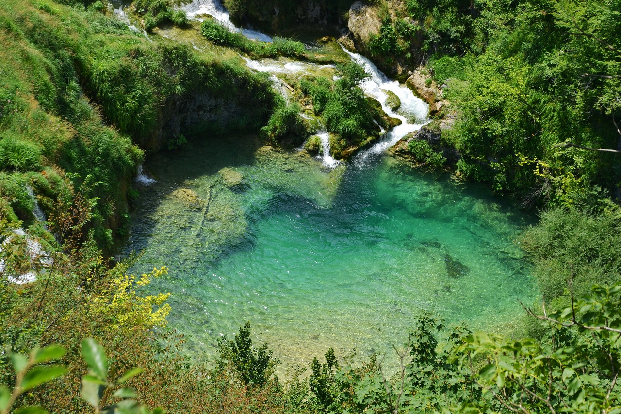 怎么讓魚缸水變黃變清澈 （怎么讓魚缸水變黃變清澈呢）