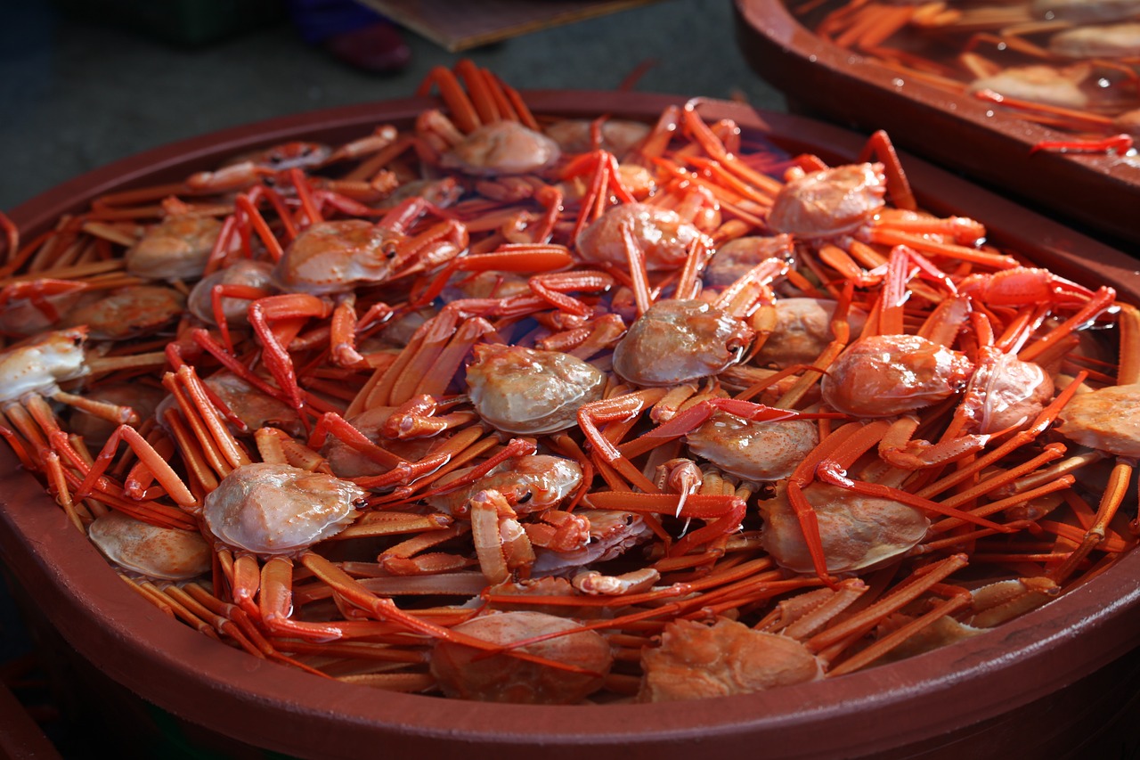 百勝魚缸圖片大全集（百勝魚缸圖片大全集圖）