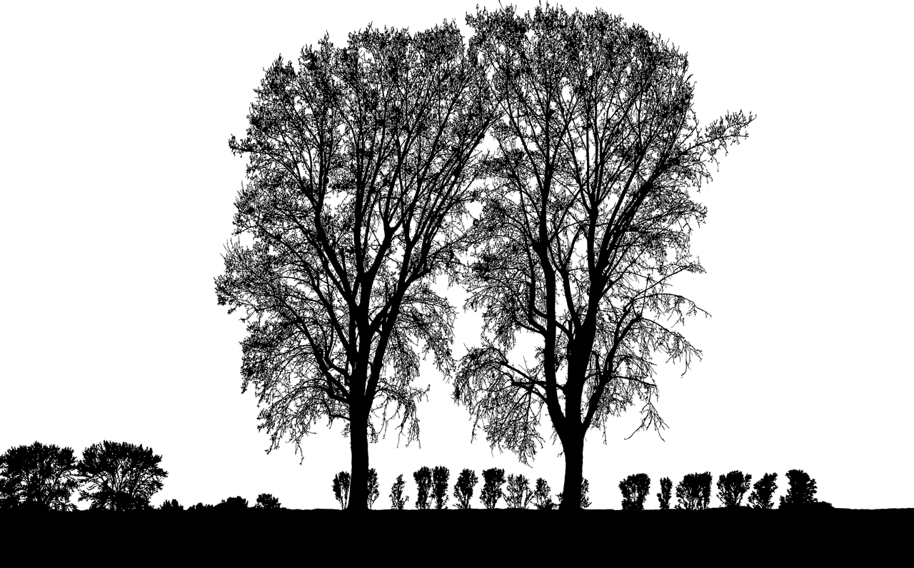 景觀設(shè)計(jì)師證考什么專業(yè)比較好  廣州景觀設(shè)計(jì) 第2張