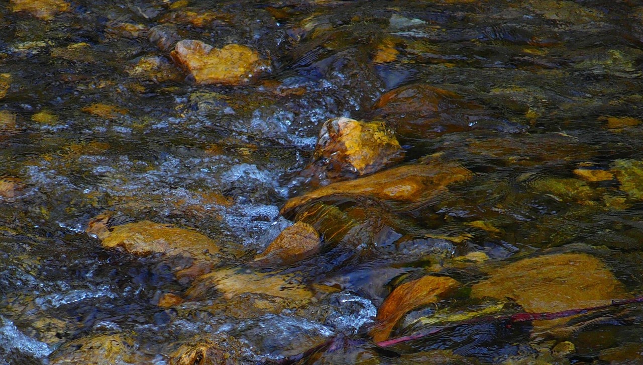 魚缸造景用石頭好嗎圖片，魚缸造景石頭擺法圖片 大賽 養(yǎng)魚知識 第1張