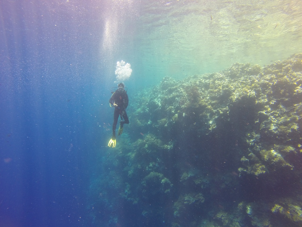 碧浪水族館