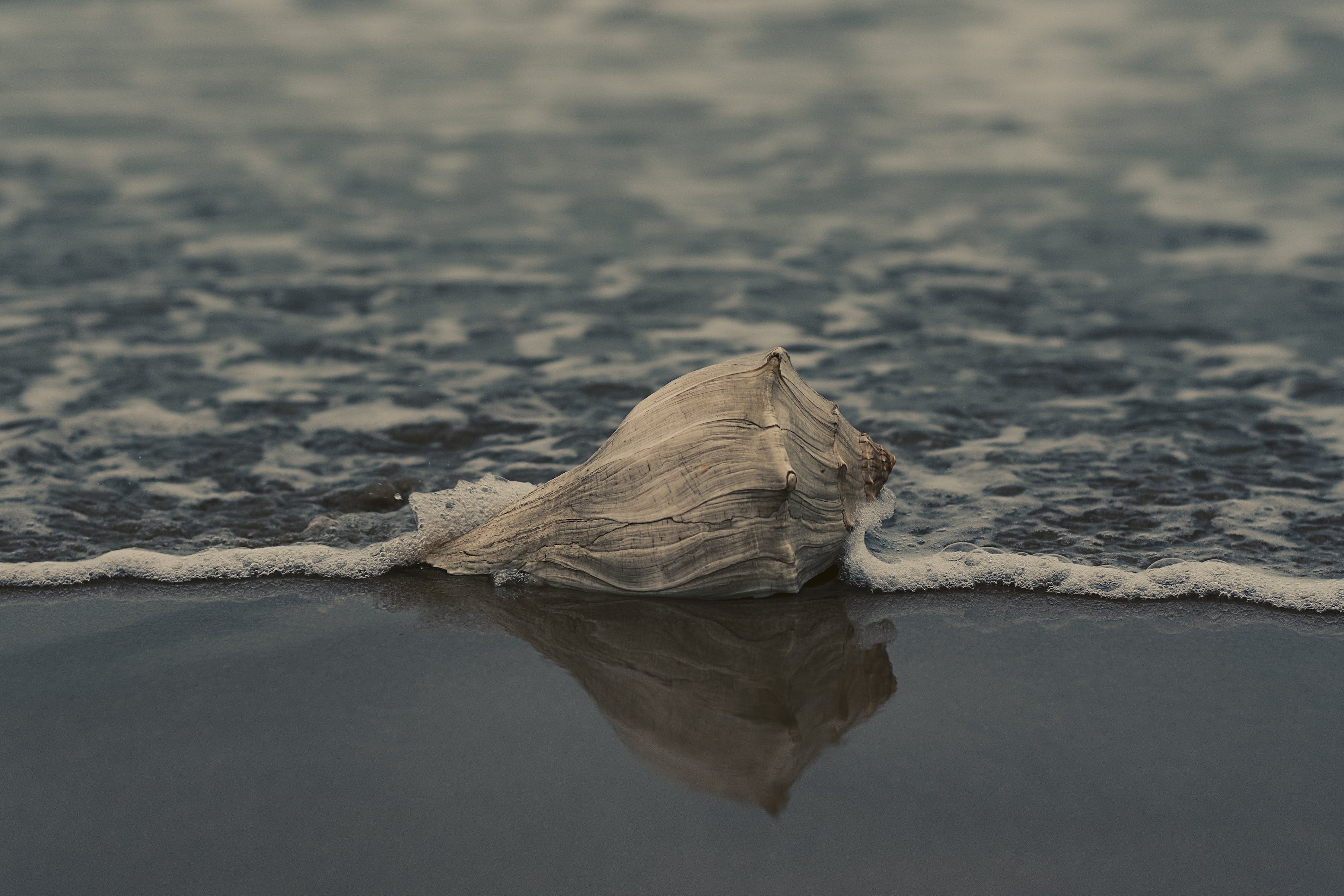 魚(yú)缸陶粒和沙子的區(qū)別在哪、魚(yú)缸陶粒和沙子的區(qū)別在哪里，魚(yú)缸鋪什么底沙最好，三種底砂哪個(gè)好