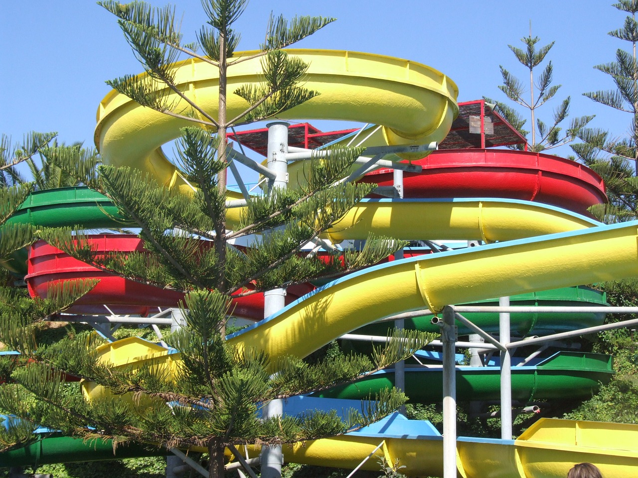 水族文化創(chuàng)意產(chǎn)業(yè)園觀賞魚交易市場（花卉水族市場） 黃寬帶蝴蝶魚 第2張