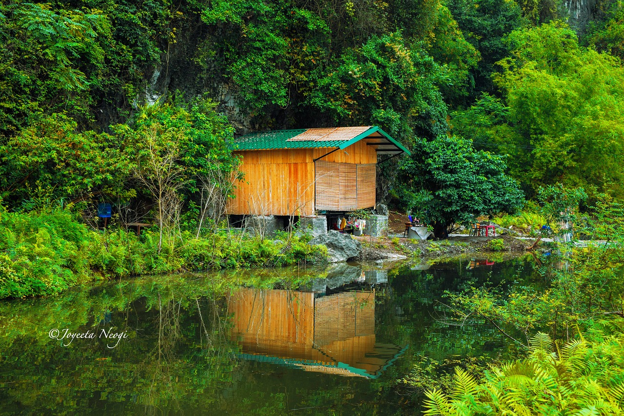 雙陽(yáng)區(qū)水木緣鮮花水族行 