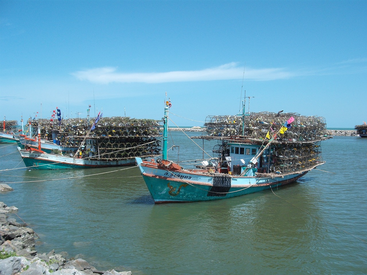 海水魚缸品牌十大排名，海水魚缸和普通魚缸區(qū)別