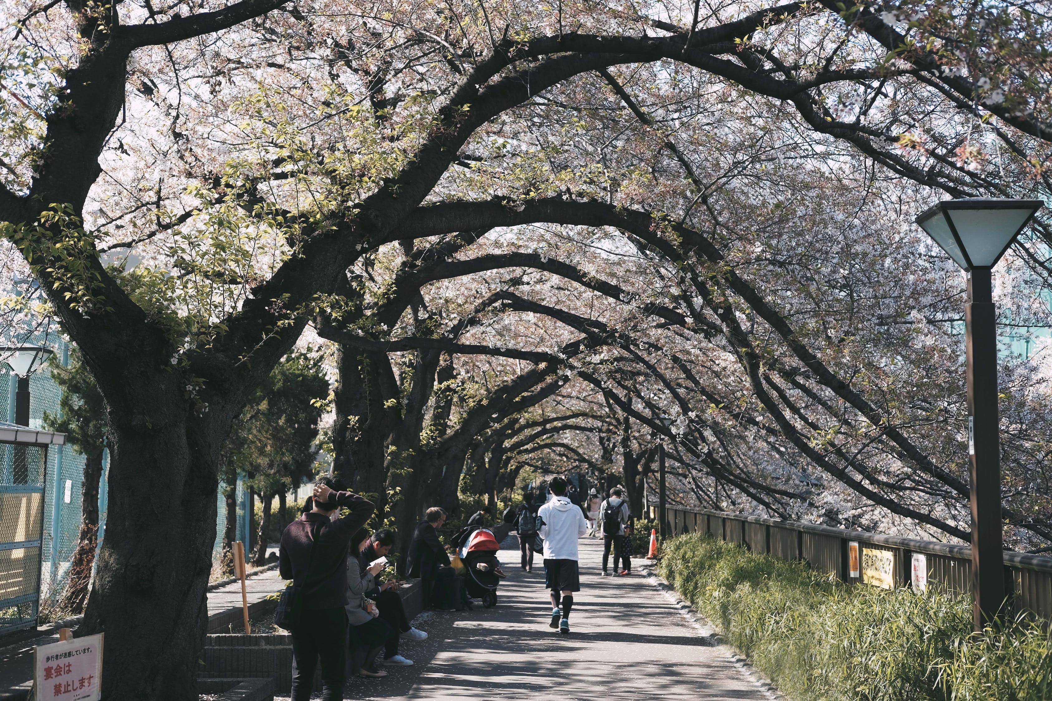 枯山水景 （枯山水景觀圖片） 廣州景觀設(shè)計(jì) 第2張