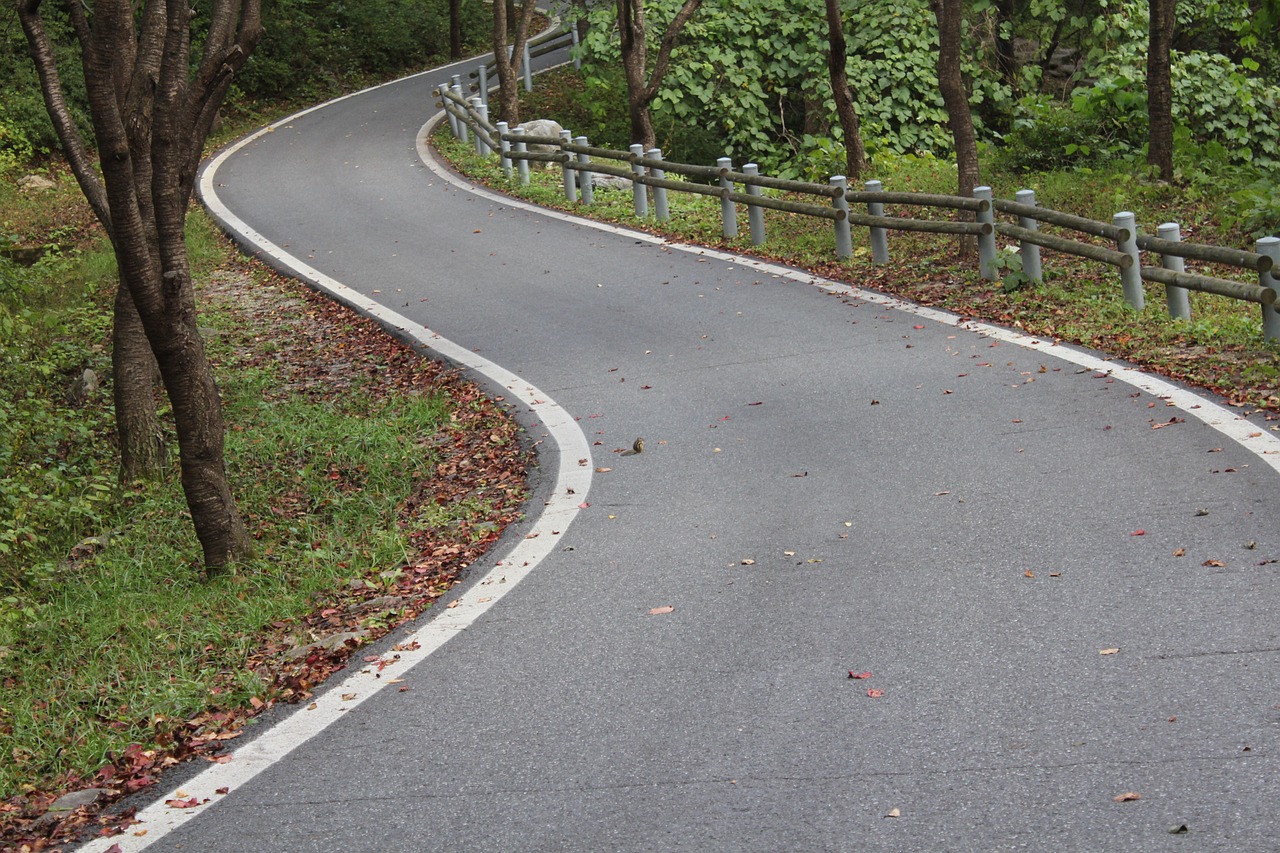 枯山水景觀要素包括哪些 （枯山水景觀要素包括哪些內(nèi)容）