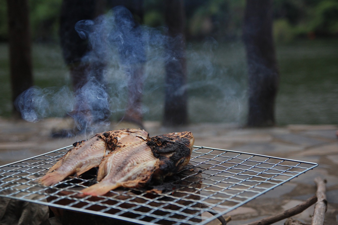 火龍魚是魚嗎，火龍魚是屬于什么魚 養(yǎng)魚知識 第2張