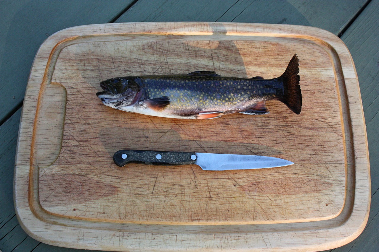 黑魚魚缸養(yǎng)殖方法和技巧圖解，黑魚室內(nèi)養(yǎng)殖技術(shù)視頻