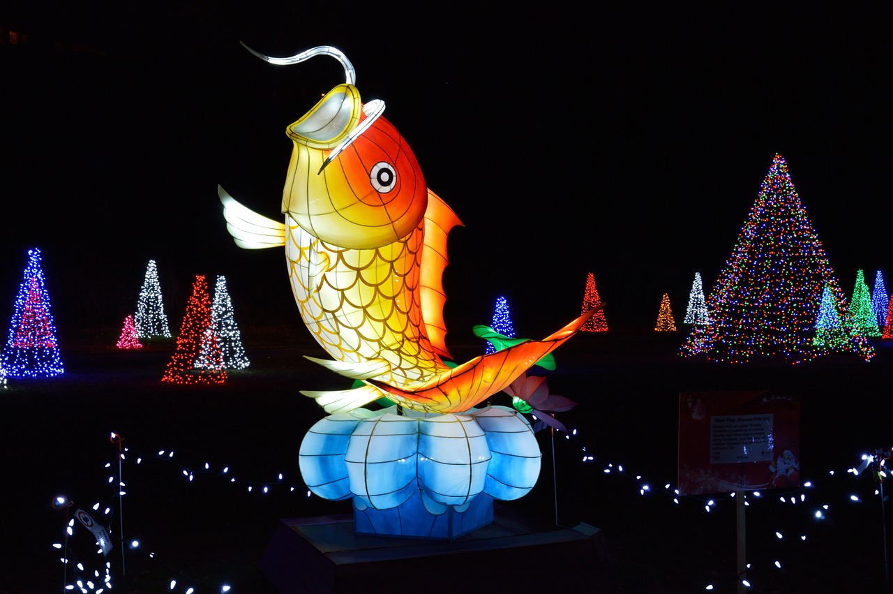 吃孔雀魚魚缸燈里種睡蓮對魚有差嗎_（孔雀魚 睡蓮） 巨骨舌魚 第1張