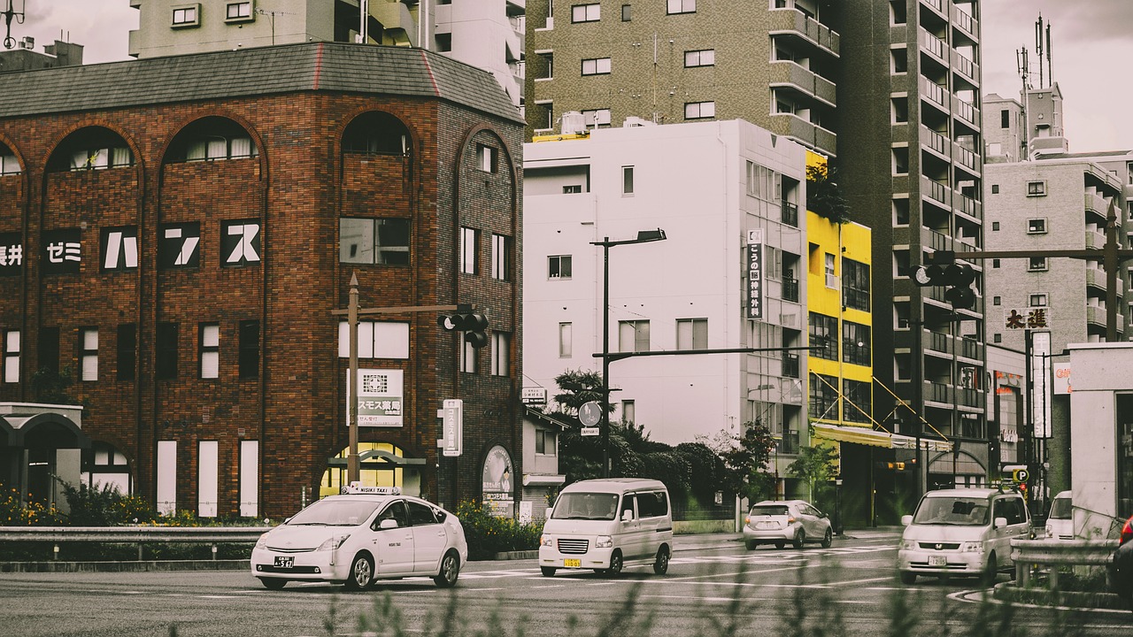 鞍山市遼南批發(fā)市場亞馬遜魚行（鞍山市遼南批發(fā)市場亞馬遜魚行電話號碼） 全國水族館企業(yè)名錄 第2張