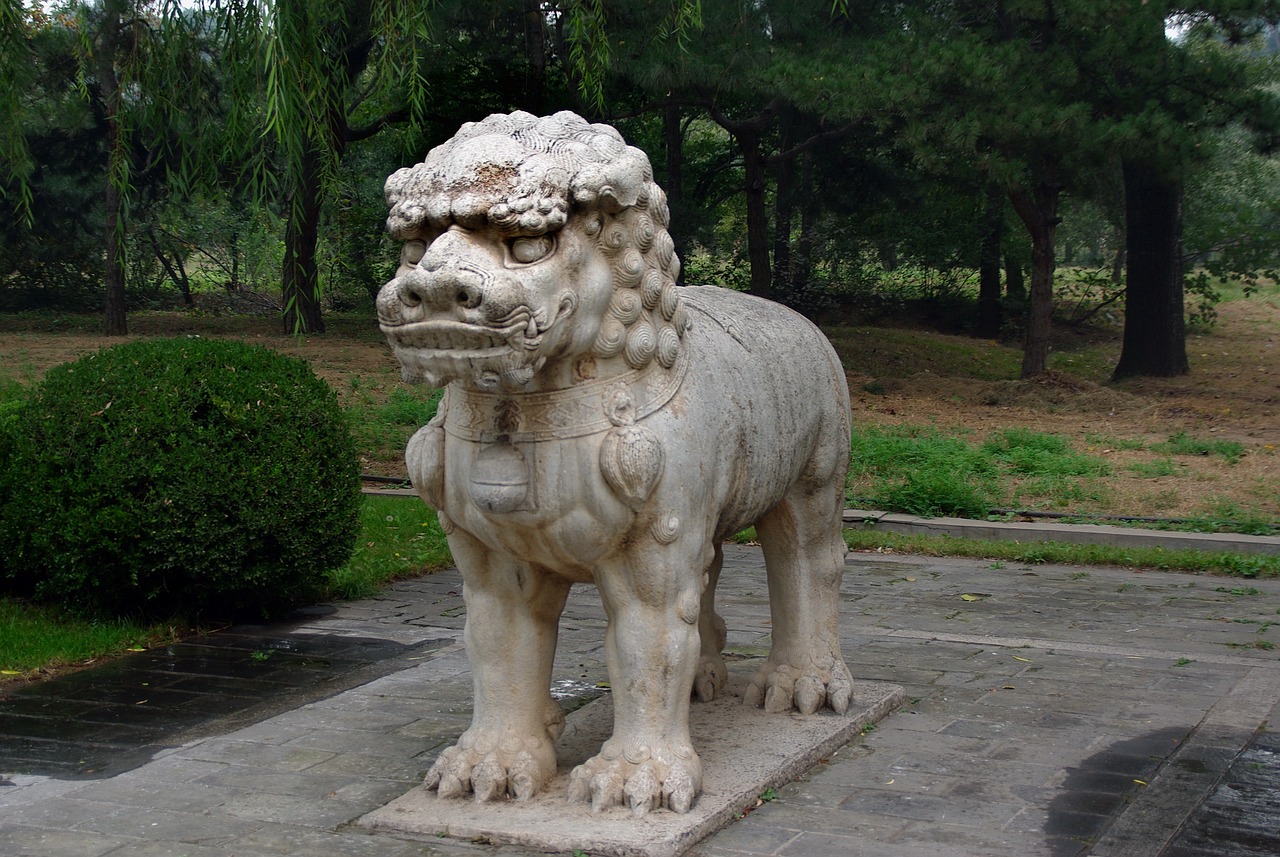 龍魚尾巴變紅了怎么辦（龍魚尾巴發(fā)黑了怎么辦） 戰(zhàn)車紅龍魚 第5張