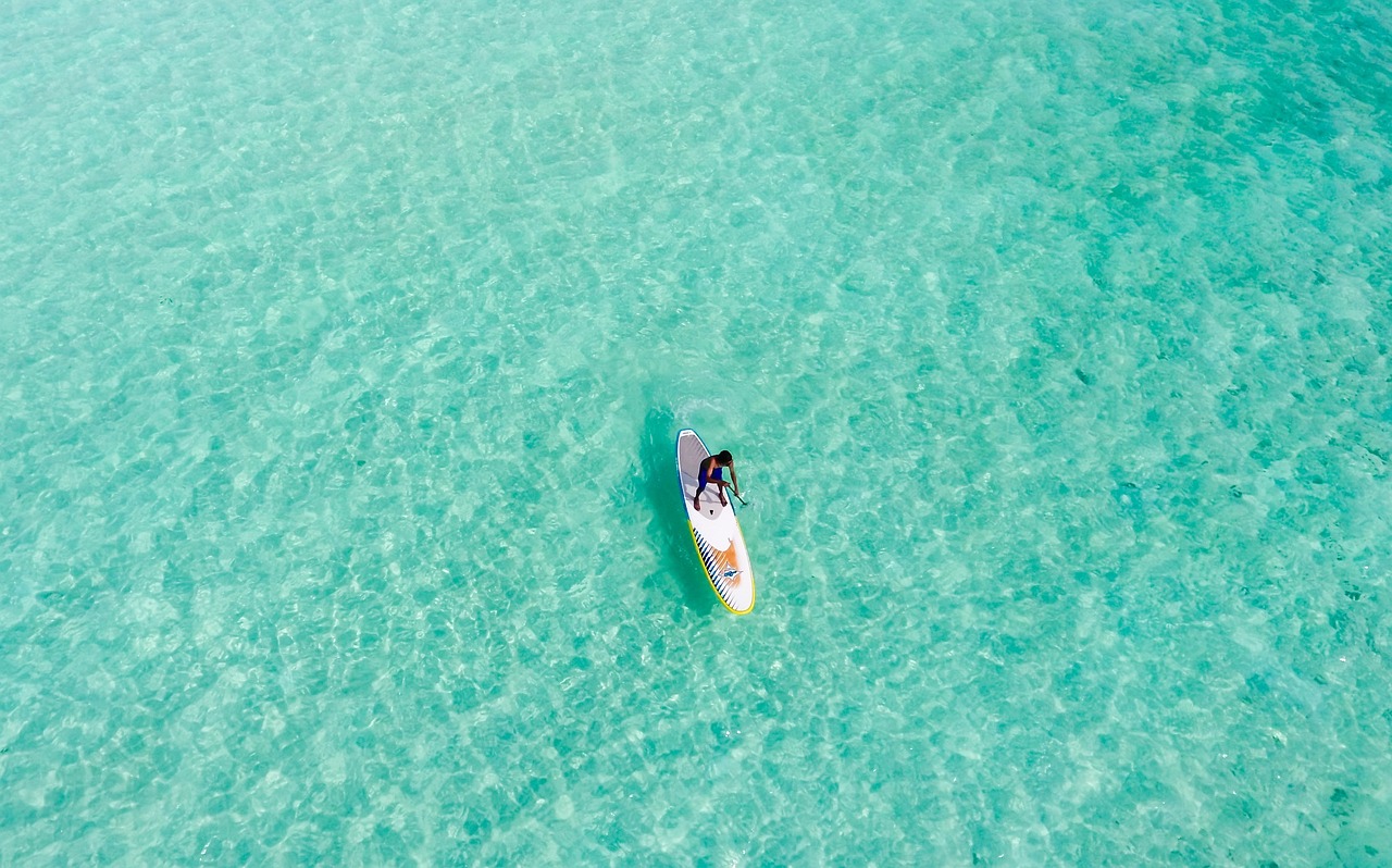 魚缸里的水多少天換一次，魚缸里面的水多少天換一次 養(yǎng)魚知識 第1張