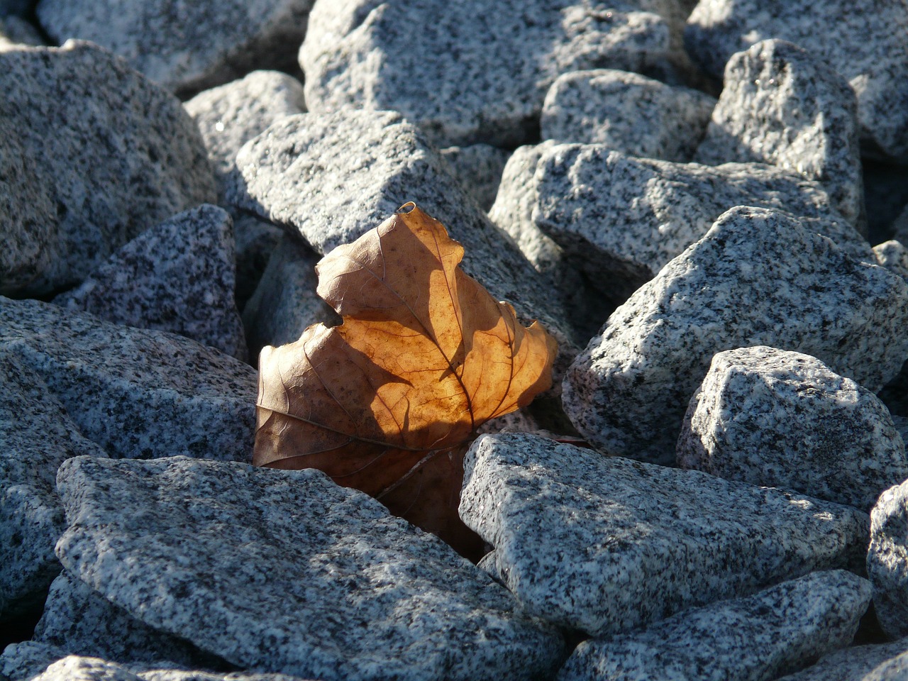 創(chuàng)寧水泵廠家在哪里呀知乎招聘（ 創(chuàng)寧水泵廠家在哪里呀知乎招聘）