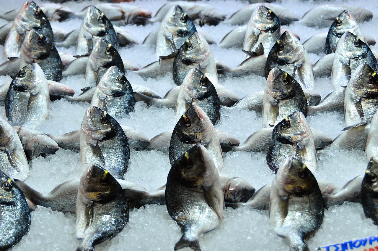 民和縣維宏花魚店（民和縣維宏花魚店電話） 全國水族館企業(yè)名錄 第3張