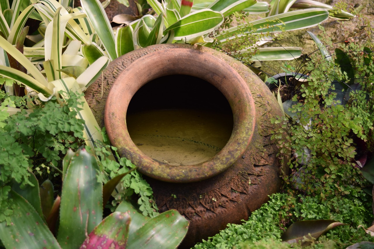 溪流魚(yú)池造景種什么植物（溪流魚(yú)池設(shè)計(jì)） 廣州景觀設(shè)計(jì) 第1張