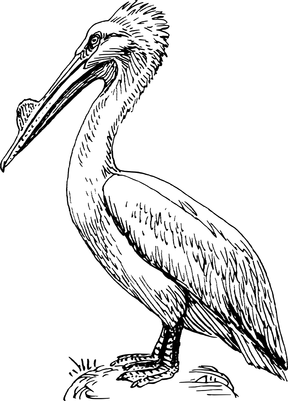 勐海縣鳥(niǎo)魚(yú)花香經(jīng)營(yíng)店（勐?？h鳥(niǎo)魚(yú)花香經(jīng)營(yíng)店地址）