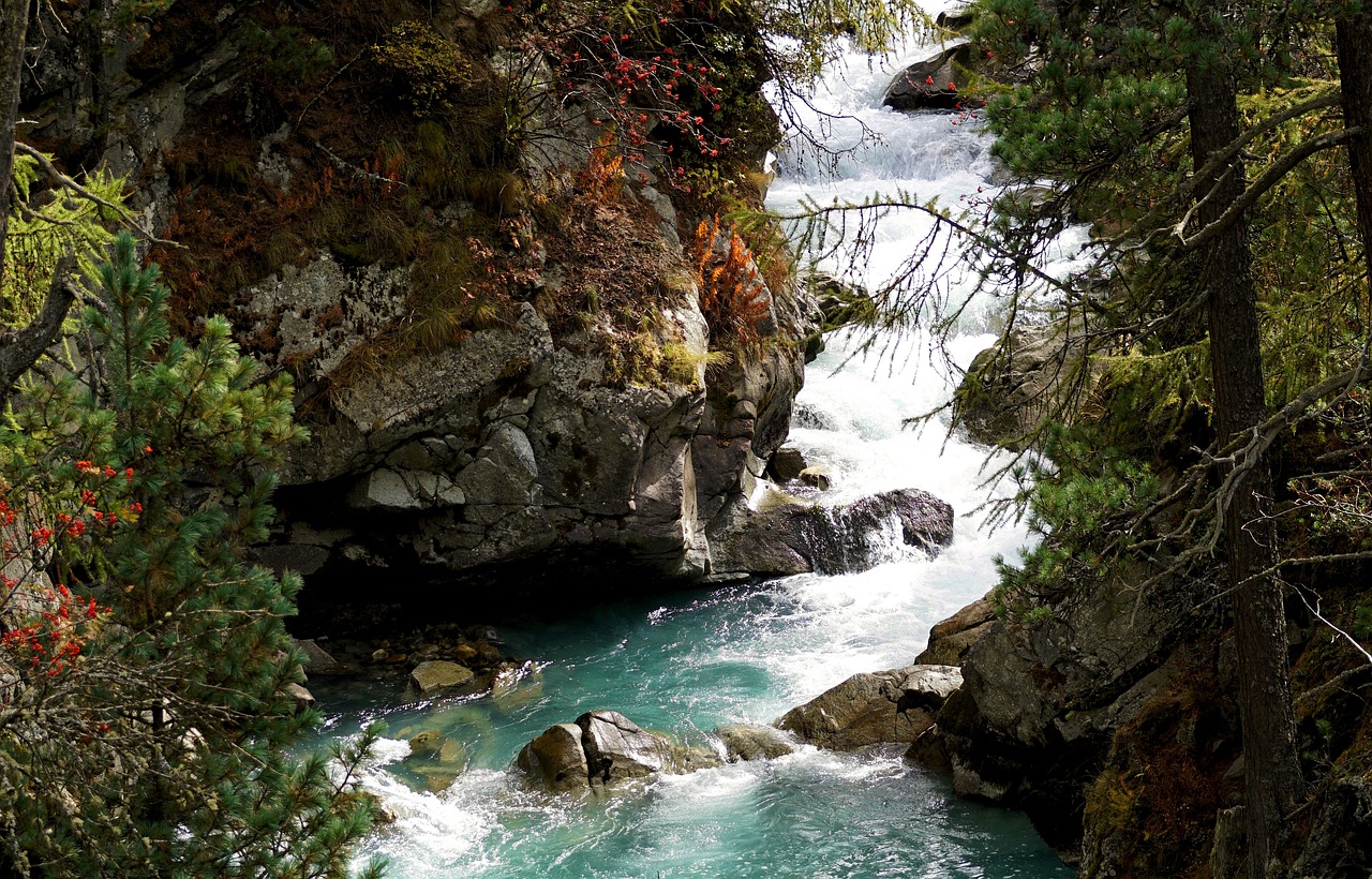 溪流魚(yú)缸造景用什么石頭好些呢視頻（溪流魚(yú)缸造景用什么石頭好些呢視頻講解） 廣州景觀設(shè)計(jì) 第4張