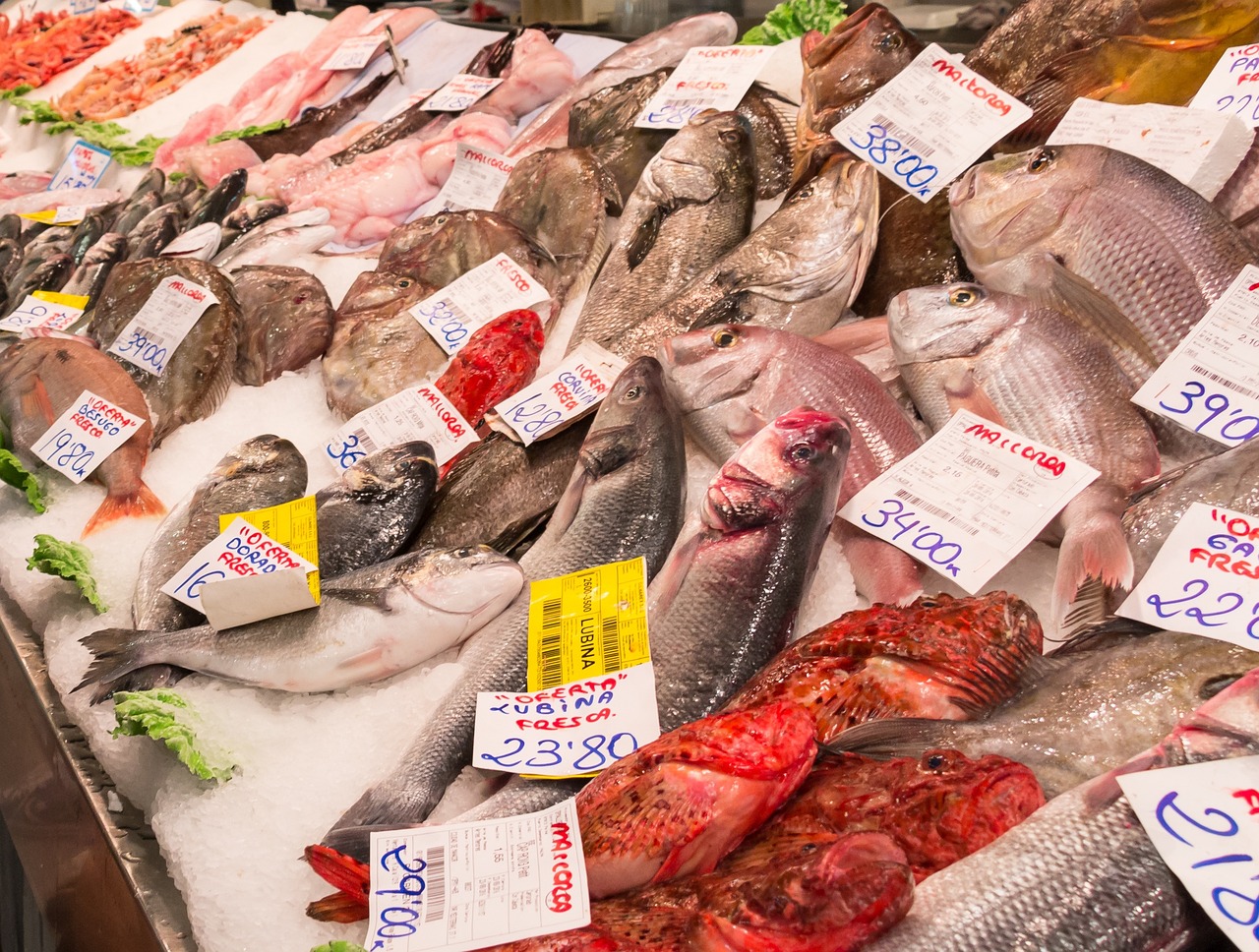 濰坊觀賞魚批發(fā)市場進貨渠道（濰坊觀賞魚批發(fā)市場進貨渠道,濰坊魚市批發(fā)市場）