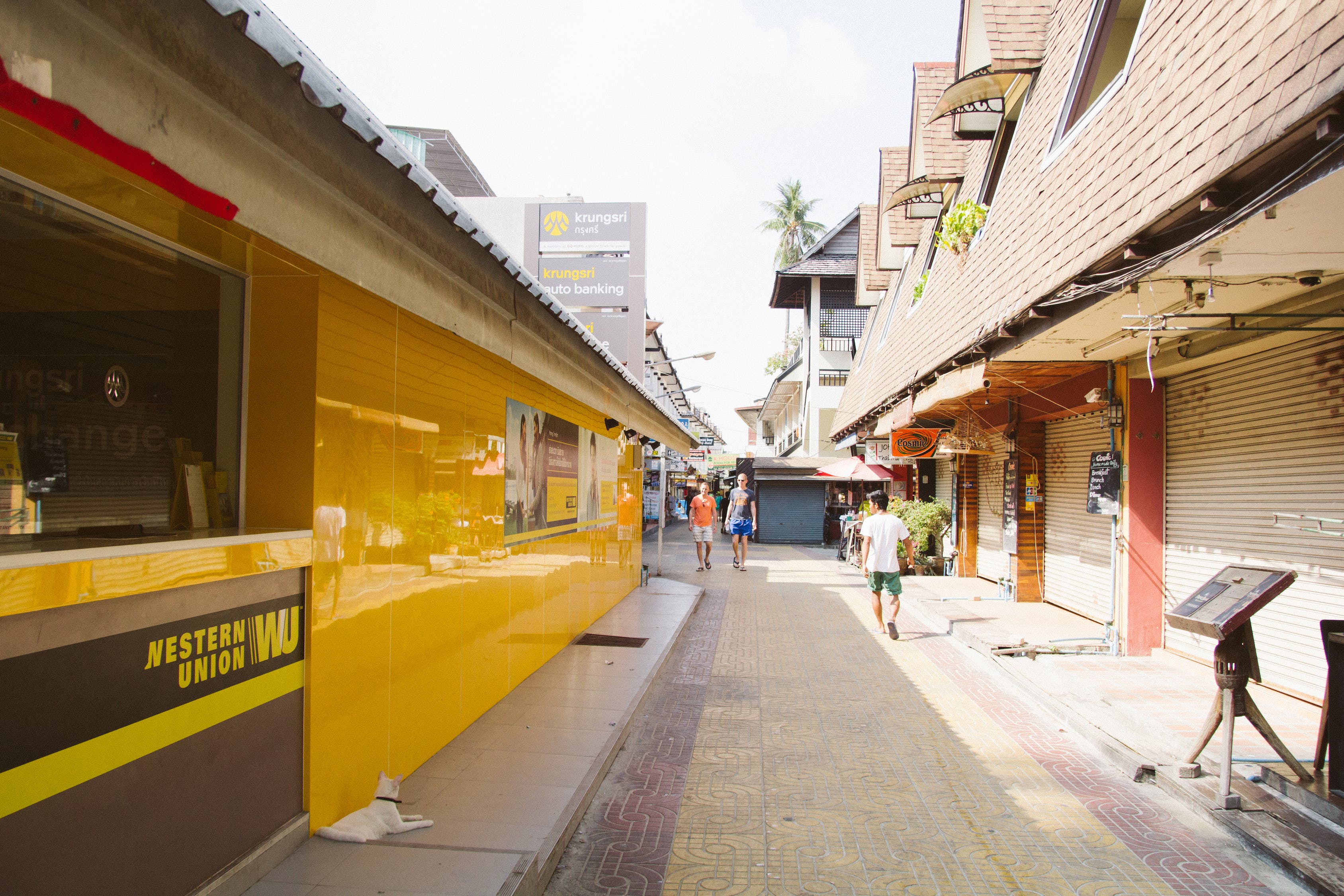 上海市閘北區(qū)彭浦新村街道愛好者觀賞魚商店（上海市閘北區(qū)彭浦新村街道愛好者觀賞魚商店地址） 全國水族館企業(yè)名錄 第2張