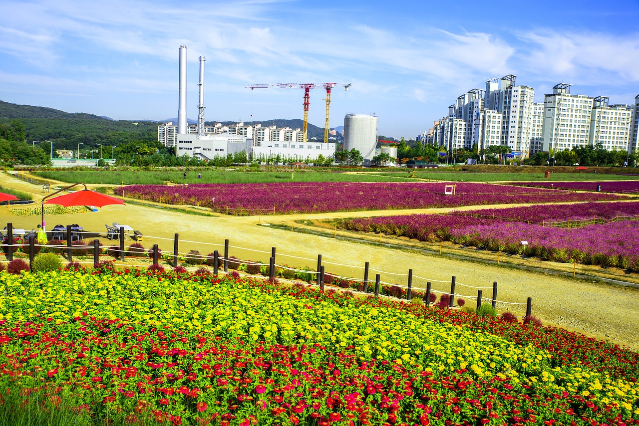 校園景觀設(shè)計(jì)效果圖手繪（校園景觀設(shè)計(jì)效果圖手繪圖） 廣州景觀設(shè)計(jì) 第1張