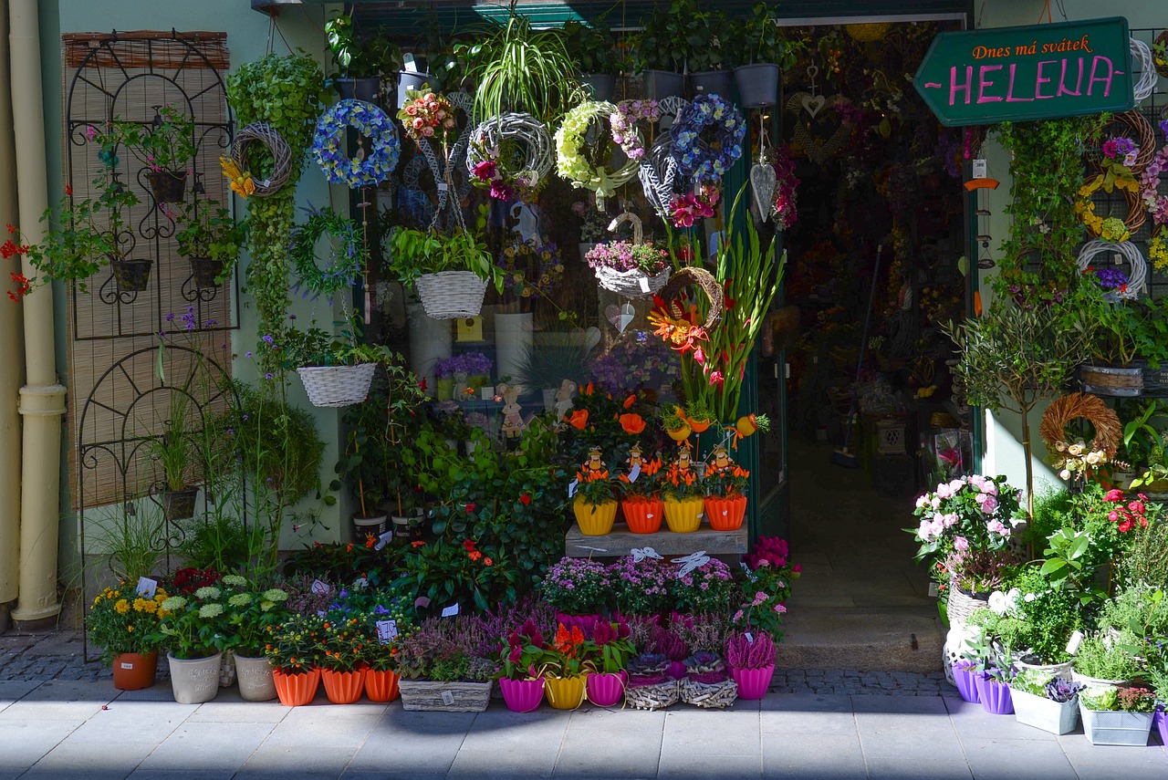 朝陽市龍城區(qū)芳園花卉店（朝陽市龍城區(qū)芳園花卉店電話）