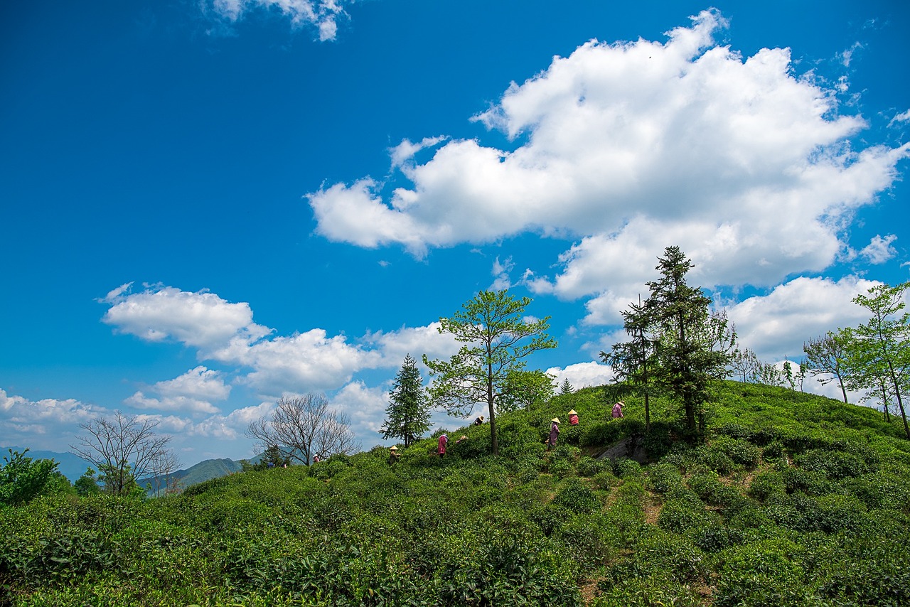 桃江縣團山玻璃工藝園