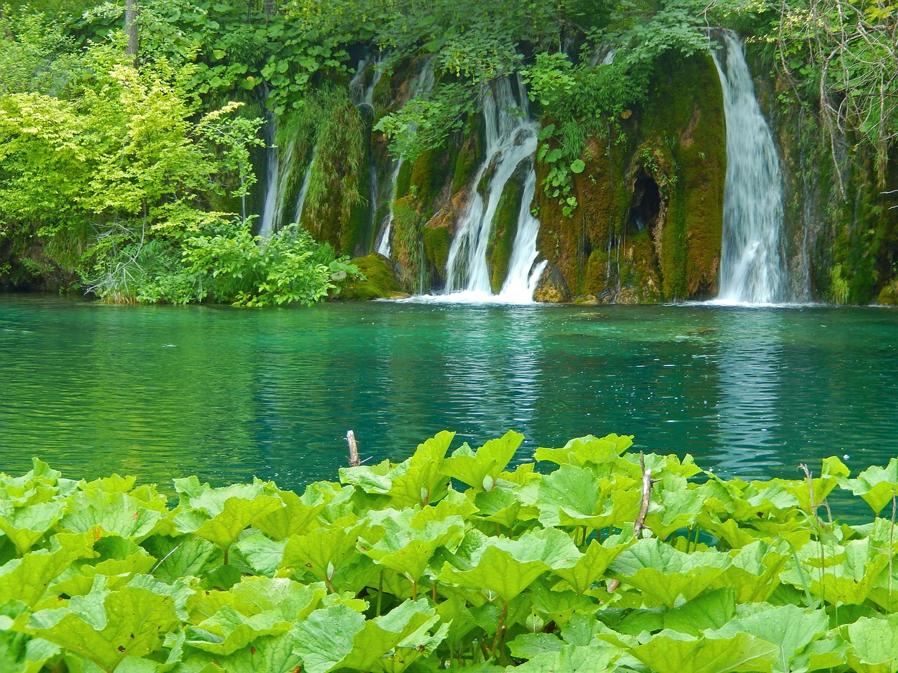 園林水池景觀設(shè)計效果圖片大全視頻（園林水池景觀設(shè)計效果圖片大全視頻講解）