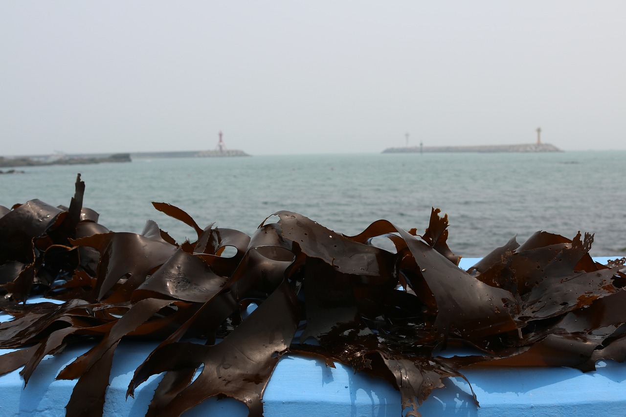 清理魚缸的冷水魚有哪些好處，，清潔魚缸的冷水魚有哪些好處清理魚缸的冷水魚有哪些好處