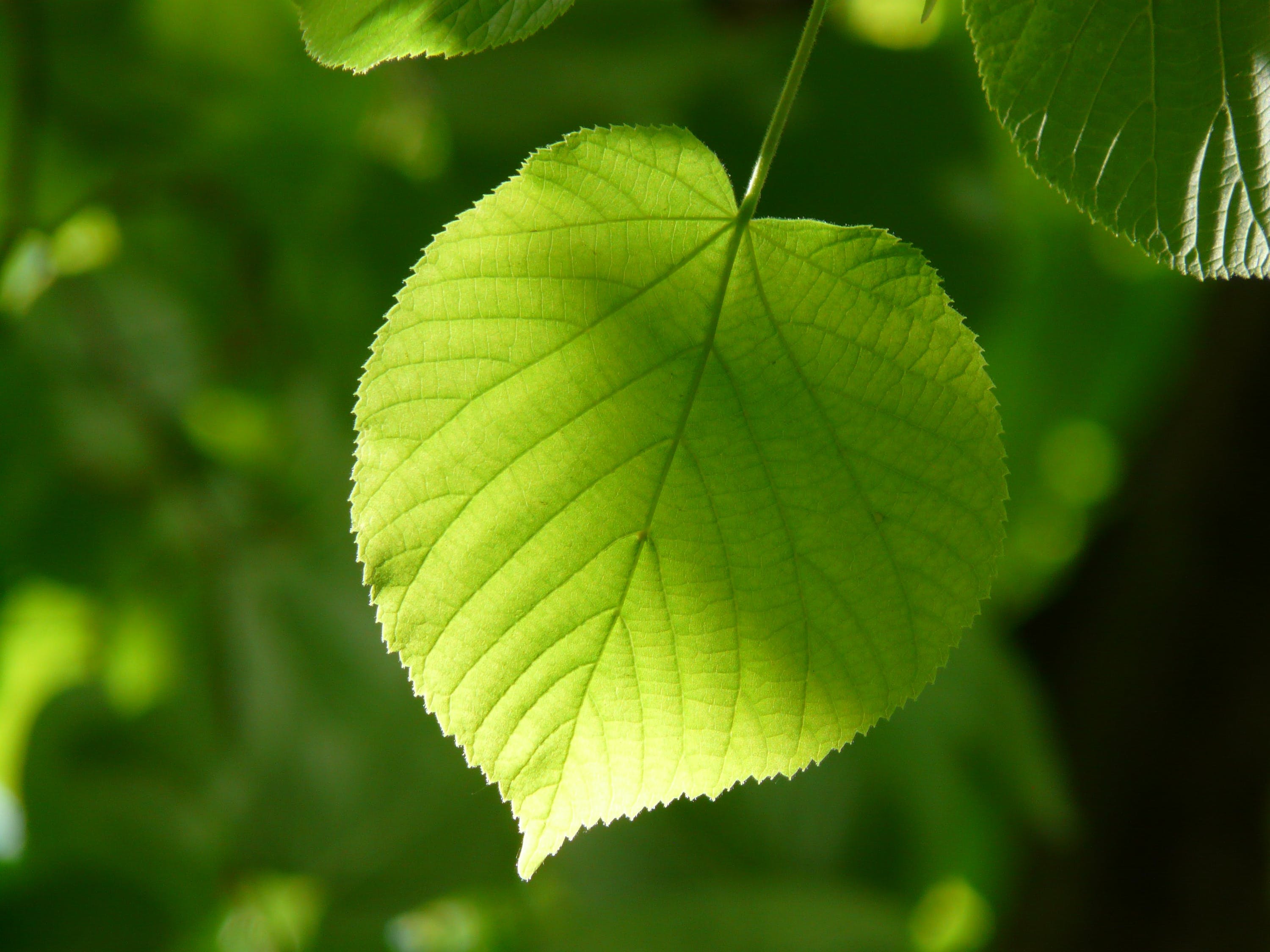 植物墻設(shè)計(jì)圖片大全大圖高清（植物墻設(shè)計(jì)圖片大全大圖高清版） 廣州景觀設(shè)計(jì) 第4張