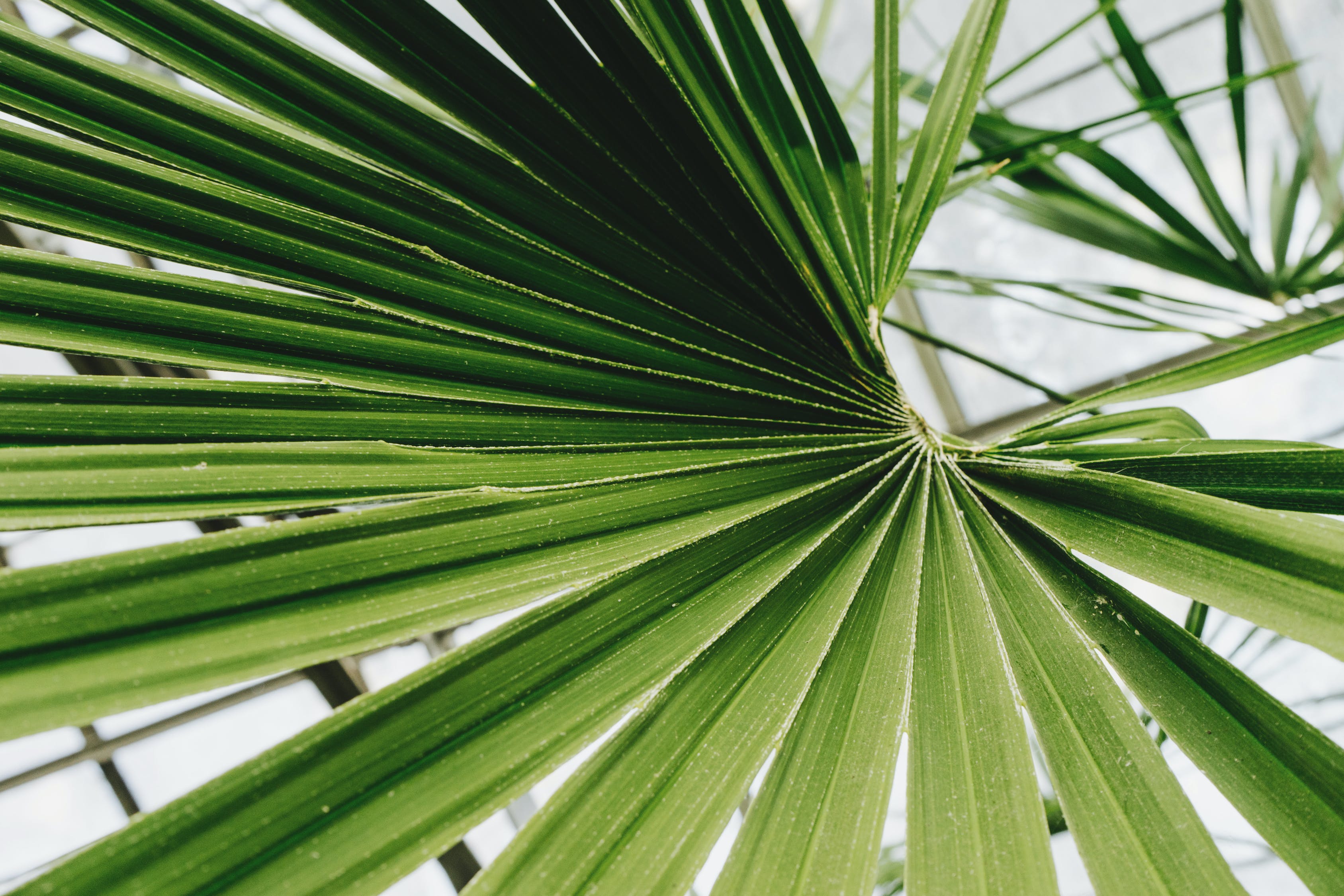 植物墻設(shè)計用什么軟件做好看（植物墻設(shè)計用什么軟件做好看又簡單） 廣州景觀設(shè)計 第4張