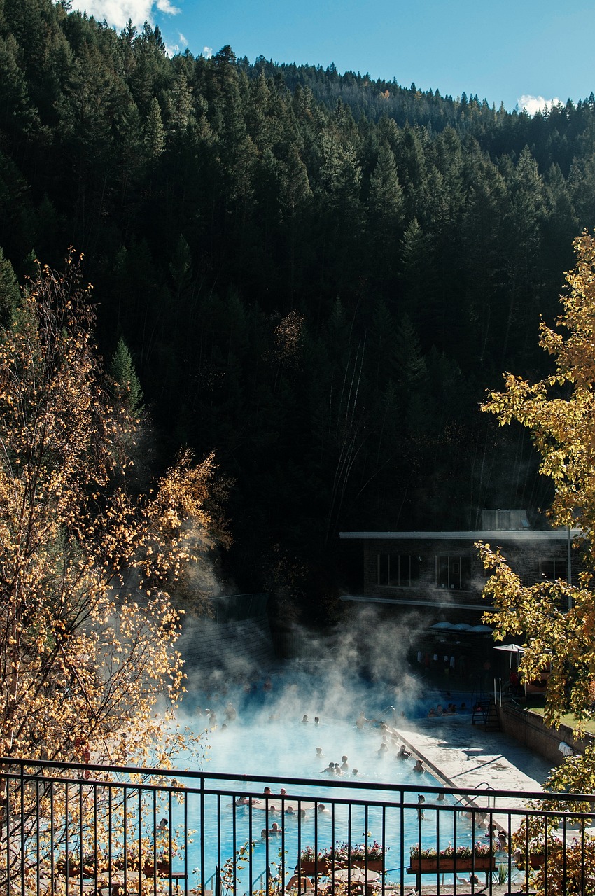 白山市江源區(qū)碧水觀賞魚(yú)繁殖中心（白山市江源區(qū)碧水觀賞魚(yú)繁殖中心地址）