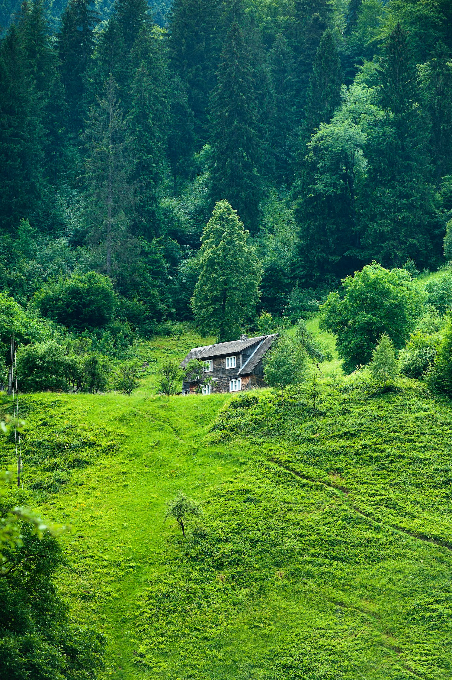 掛菌濾材