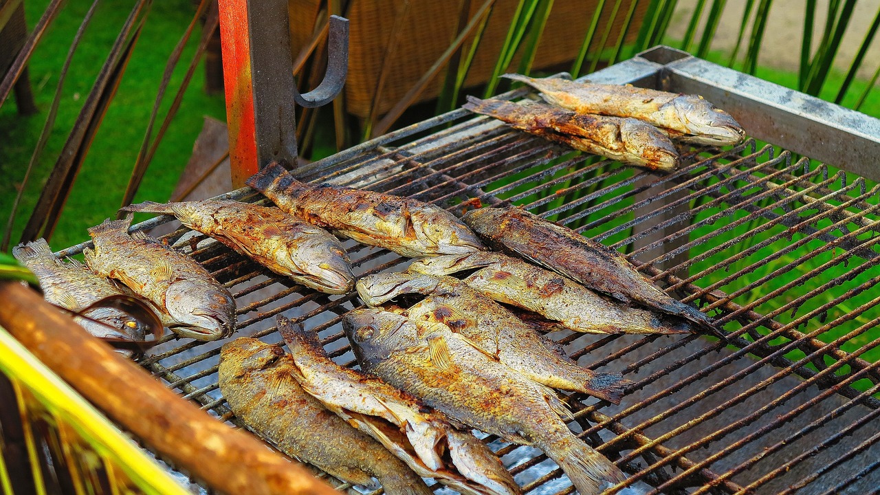 不需要加溫的雷龍魚（冬天不用加熱的雷龍魚） 水族用品 第3張