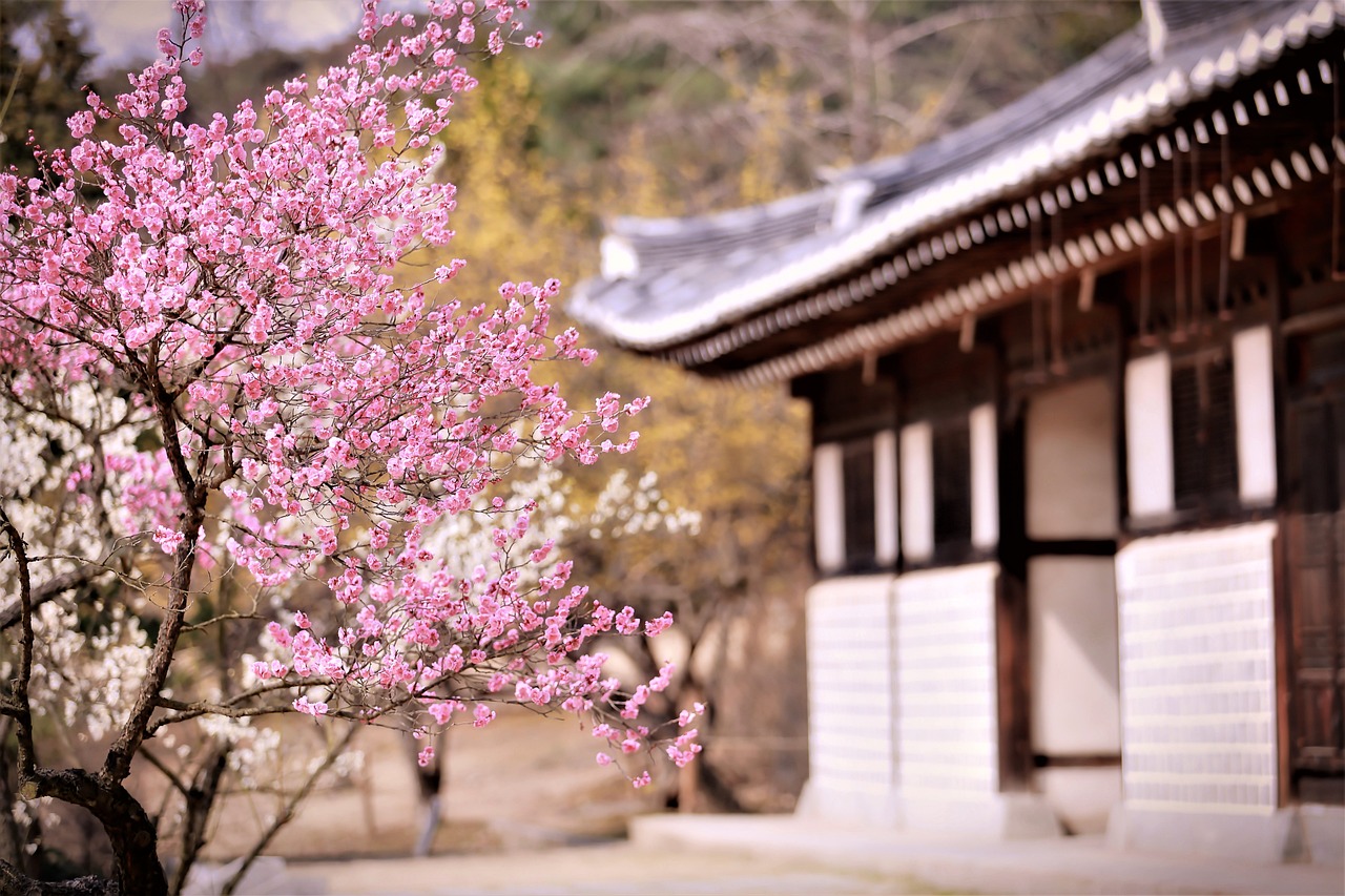 神木梅子花卉園林綠化有限公司（神木梅苑酒店預訂電話） 全國水族館企業(yè)名錄 第3張