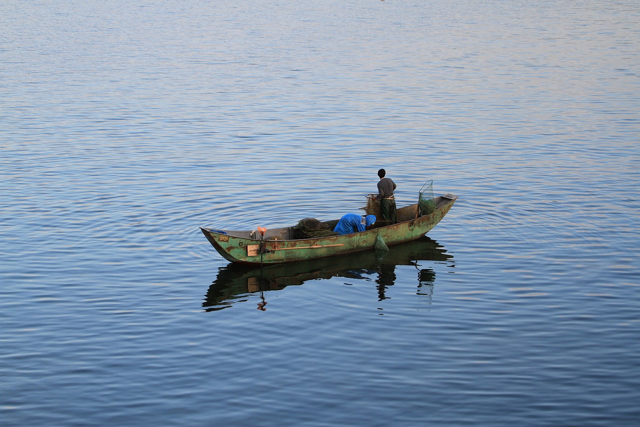 海東市樂都區(qū)均妥七彩魚養(yǎng)殖有限公司（海東市樂都區(qū)均妥七彩魚養(yǎng)殖有限公司電話） 全國(guó)水族館企業(yè)名錄 第4張