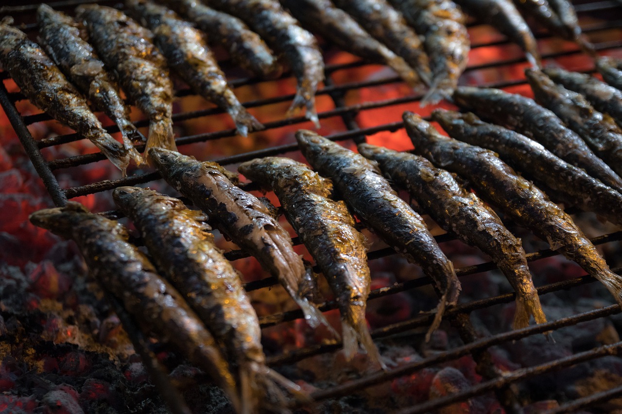 大連龍魚(yú)店（大連魚(yú)館那家好） 大白鯊魚(yú) 第1張