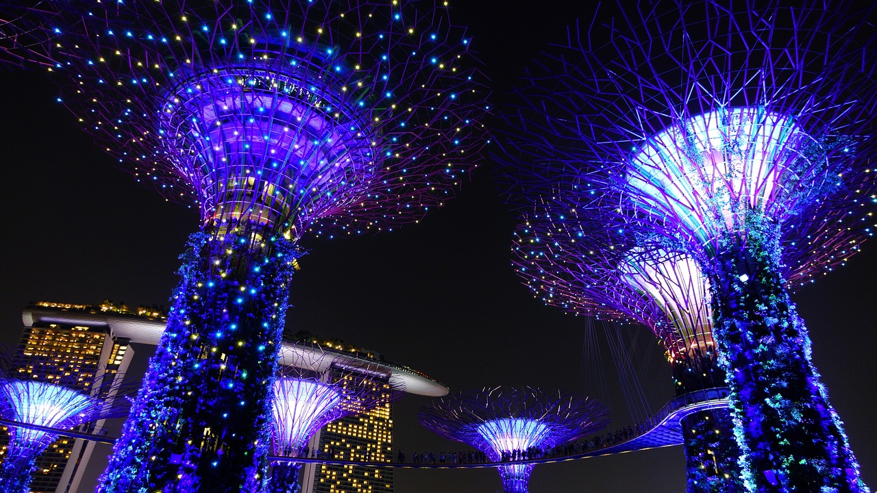 梁溪區(qū)槐古路五龜漫步水族店（梁溪區(qū)槐古路五龜漫步水族店地址） 烏龜 第2張